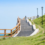 小麦岛公园