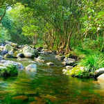 大庙江生态旅游景区
