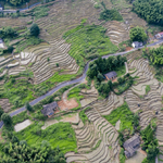 湖洋梯田