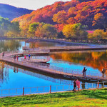 吉林市五家山森林公园