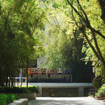 鹭潮鼓浪屿美院