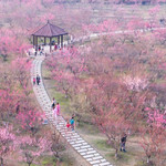 南湖湿地公园