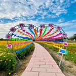 世界乡村旅游小镇