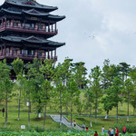 大洋湾生态旅游景区