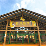 南京松鼠部落森林假日公园