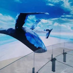 魔都悬空玻璃剧场