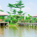 海鸥岛