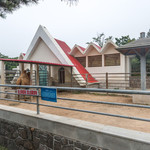 青岛动物园