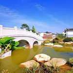 渭南植物园