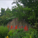 紫荆花公园