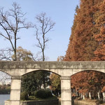 黑池坝
