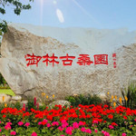 御林古桑园