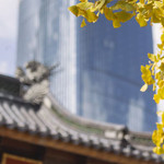 七塔寺