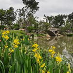 晋安湖公园