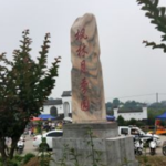 枫林月季园