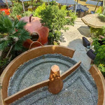 宜良兰福温泉