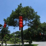 九龙寺