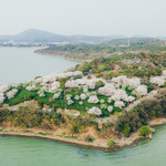 红沙湾生态园