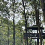 铜锣山风景区