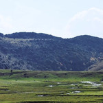鸟吊山