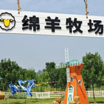 撒欢鸭绵羊牧场
