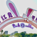 粉红兔冒险乐园