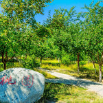 鲤鱼山公园
