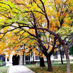 北京科技大学