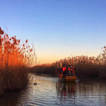 高邮湖芦苇荡湿地公园