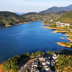小杉村