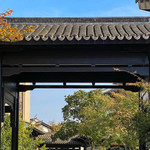 桃李春风