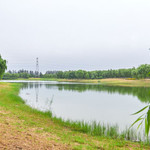 昌平新城滨河森林公园