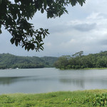 佛灵湖郊野公园