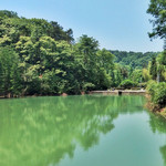 大山冲森林公园