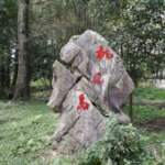 桃花岛度假村