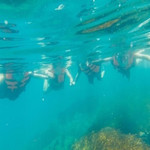 东山岛出海浮潜体验