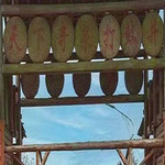 打鼓井风景区
