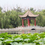 冰雕荷花展景区