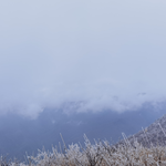 光头山