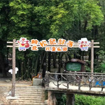 岭北松鼠部落儿童乐园