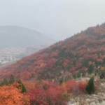 蝎子山