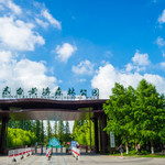 黄海森林公园
