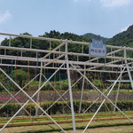 湖北通天河景区