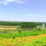 汤河国家湿地公园