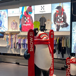 SNOW51城市滑雪(BFC外滩金融中心店)