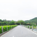 黄山鲁森林公园