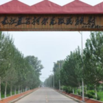 柯尔克孜民族村