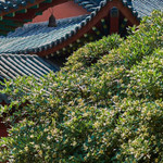 黄梅四祖寺