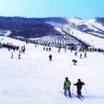 大连欢乐雪世界