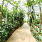 鸟语仙踪植物馆